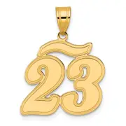 14k Yellow Gold Brushed Border Script Number 23 Pendant