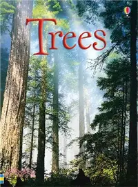 在飛比找三民網路書店優惠-Usborne Beginners: Trees