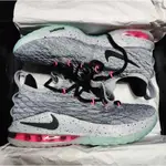 NIKE LEBRON 15 LOW EP SOUTHBEACH 15 詹姆斯 南海岸 AO1756-005 運動休閒鞋