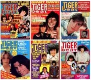 70s Tiger Beat Magazine Covers POSTER 24 X 18 Inches Wall Art