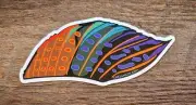 GRAYLING Sticker Decal fly fishing 5 1/2" x 2 1/2" glossy weather proof