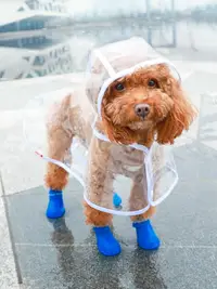 在飛比找樂天市場購物網優惠-寵物雨衣 狗狗雨衣泰迪柴犬小型犬中型犬雨披小狗全包柯基防水雨