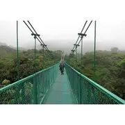 Save 5.00%! Rain Forest Monteverde,Hanging Bridges, Sloths,Birds Watching