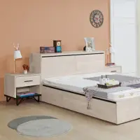 在飛比找momo購物網優惠-【obis】伊凡卡5尺加大收納床頭箱