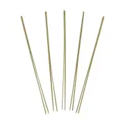 Bamboo Double Prong Stick Skewer Picks - Skinny