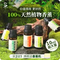 在飛比找蝦皮購物優惠-台灣出貨 香薰精油加濕器家用香薰機專用單方薰衣草甜橙檸檬茶樹