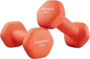 Set of 2 Dumbbells Hexagonal Dumbbells Pair Home Workout Fitness Training Exerci