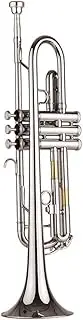 Standard Bb Trumpet Brass Nickle Plated Wind Instrument with Mouthpiece Carry Bag Gloves Cleaning Cloth