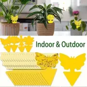 AU 10-200PCS Fruit Fly Sticky Trap for Indoor Outdoor Gnat Killer Flying Insect