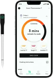 Smart Thermometer Extra Probe No. 3, Bluetooth/Wi-Fi Enabled, US Only