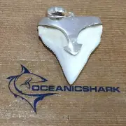 B43 27MM SHARK TOOTH SILVER U WILL GET ITEM IN PHOTO! GOT SWORD ARROW