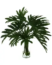 Creative Displays Organic Modern Philodendron Arrangement