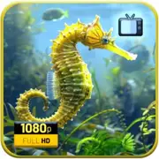 Marine Serenity Portal - Drifting Seahorse Ocean Calm Visual Screensaver