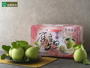 【明年請早】優選-麻豆文旦老欉禮盒10斤/箱(約9-10粒)
