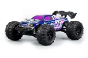 SCY 16101 1/16 4WD Off-Road Truck RC Car 38km/h - Purple