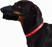 Dingo Nylon Muzzle for Jack Russell, Dachshund, Puppy, Small Breeds 16773