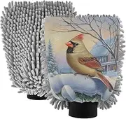 XYMZR Vintage Red Bird Snow Absorbent Microfiber Car Wash Mitt, Funny Cute Anime Scratch Free for Cars Cleaning, Home Cleaning Mitts, 2 Pack, 10.24” L x 7.09” W