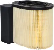 Air Filter Baldwin PA10061