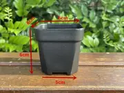 30x Durable Plastic Black Square Pots Planters Succulents Cactus Nursery 6cm AUS