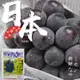 新鮮空運-XL等級【日本岡山貓眼葡萄】禮盒