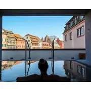 Hotel & Spa REGENT PETITE FRANCE