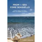 FROM THE SEA COME SEASHELLS: A STORY ABOUT A FICTIONAL FAMILY OF CAMBRIA, CA