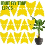 New 12PCS Strong Sticky Traps Insect Killer Plant Bug Fruit Fly Gnat Trap Paper