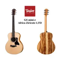 在飛比找momo購物網優惠-【Taylor】GS mini-e Africa Ziric