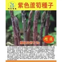 在飛比找蝦皮購物優惠-❥【原廠包裝】蘆筍種子 純紫色蘆筍種子 水果蘆筍 春秋季播種