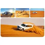 Save 19.99%! Doha: Sunrise /Sunset Desert Safari with Sand Boarding,Camel ride