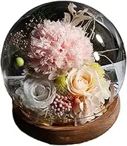Valentine's Day Send her Eternity Rose Bouquet, Glass Dome Bouquet, Suitable for Women Gifts for mom, Grandma, Friend, Wife, Girlfriend Birthday Gift (1, Carnation Champagne)