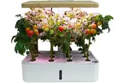 Hydroponic Planting System Kit, 12 Containers, 30cm Adjustable Height, Indoor Garden, with LED Grow Lights, Fan, Indoor and Outdoor Water Tanks