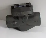 Smith S041659548 SC80 1" Bolted Cap Spring Piston Check Valve