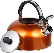 Vaguelly 1Pc Whistling Stainless Steel Tea Kettle Ergonomic Design with Non Dripping Spout Portable Boiling Teapot for Induction and Gas Stoves and Lightweight Water Boiler