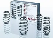 [Eibach] E10-25-019-04-22 Performance Pro-Kit Springs