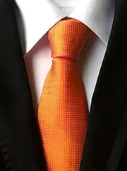 Tie Man Business Casual Formal Necktie White Collar Professional tie.
