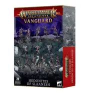 Games Workshop Warhammer Age of Sigmar Vanguard Hedonites of Slaanesh
