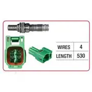 RAE Oxygen Sensor - OX420