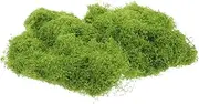 YARNOW 1 Simulated Moss Turf Artificial Moss for Indoor Planter Small Fake Plants Decor Faux Greenery Planter Outdoor Artificial Trees Potted Ferns Fern Faux Light Green Planted Cotton