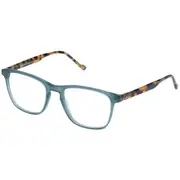 [Le Specs] BIO-BUENO | PINE SAFARI TORT