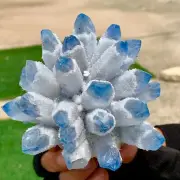 392G New Find Blue PhantomQuartz Crystal Cluster MineralSpecimen