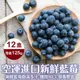 【WANG 蔬果】空運進口新鮮藍莓(12盒_125g/盒)