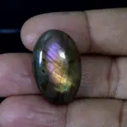 26.30 Ct 100% Natural Purple & Blue Fire Labradorite Cabochon Gemstone 17X27X6MM