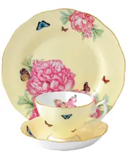 Miranda Kerr for Royal Albert Joy 3pc Place Setting