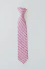 Foxy Fellow Alfie Red Stripe Neck Tie