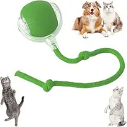 Chewie Ball - Chewie Viral Rolling Ball,Chewie Ball for Dogs,Interactive Cat Ball Toy,Smart Automatic Rolling Pet Ball,Automatic 360° Rotating Rolling Ball with USB Charging (Green)