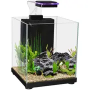 Aqua One Betta Sanctuary Glass Aquarium - 10L