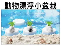 在飛比找Yahoo!奇摩拍賣優惠-動物小盆栽 漂浮小盆栽 北極熊 企鵝 創意盆栽 自動吸水 辦
