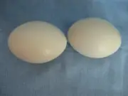 2 Rhea egg shells, empty, well cured for crafts or collection. very nice!
