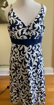 Anne Taylor Dress New With Tags